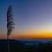 Inverno em Santa Catarina deve ter chuvas e temperaturas próximas da média