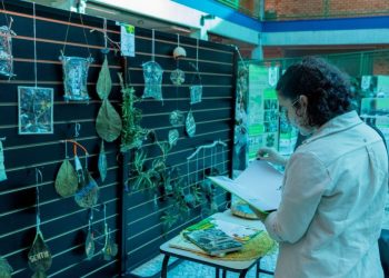 Programação na Unifebe marca Semana do Meio Ambiente
