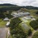 Marca catarinense tem 50 anos de história com produção láctea
