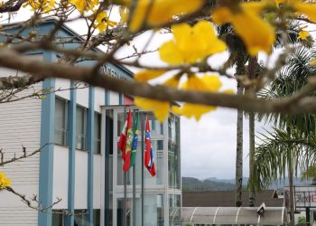 Artigo: Reflexão acerca do racismo e redes sociais: cidade julgada sem o devido processo legal pelo tribunal da internet