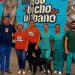 Mais de 200 animais são castrados em mutirão na cidade de São João Batista