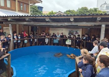 Estudantes de Major Gercino visitam o Projeto Tamar, em Florianópolis