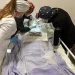 São João Batista inicia disponibilização de atendimento odontológico domiciliar para pacientes acamados