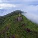 Trilha do Morro da Gurita recebe manutenção antes do período de Páscoa