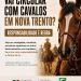 Após episódio de maus-tratos, Nova Trento regulamenta circulação de cavalos